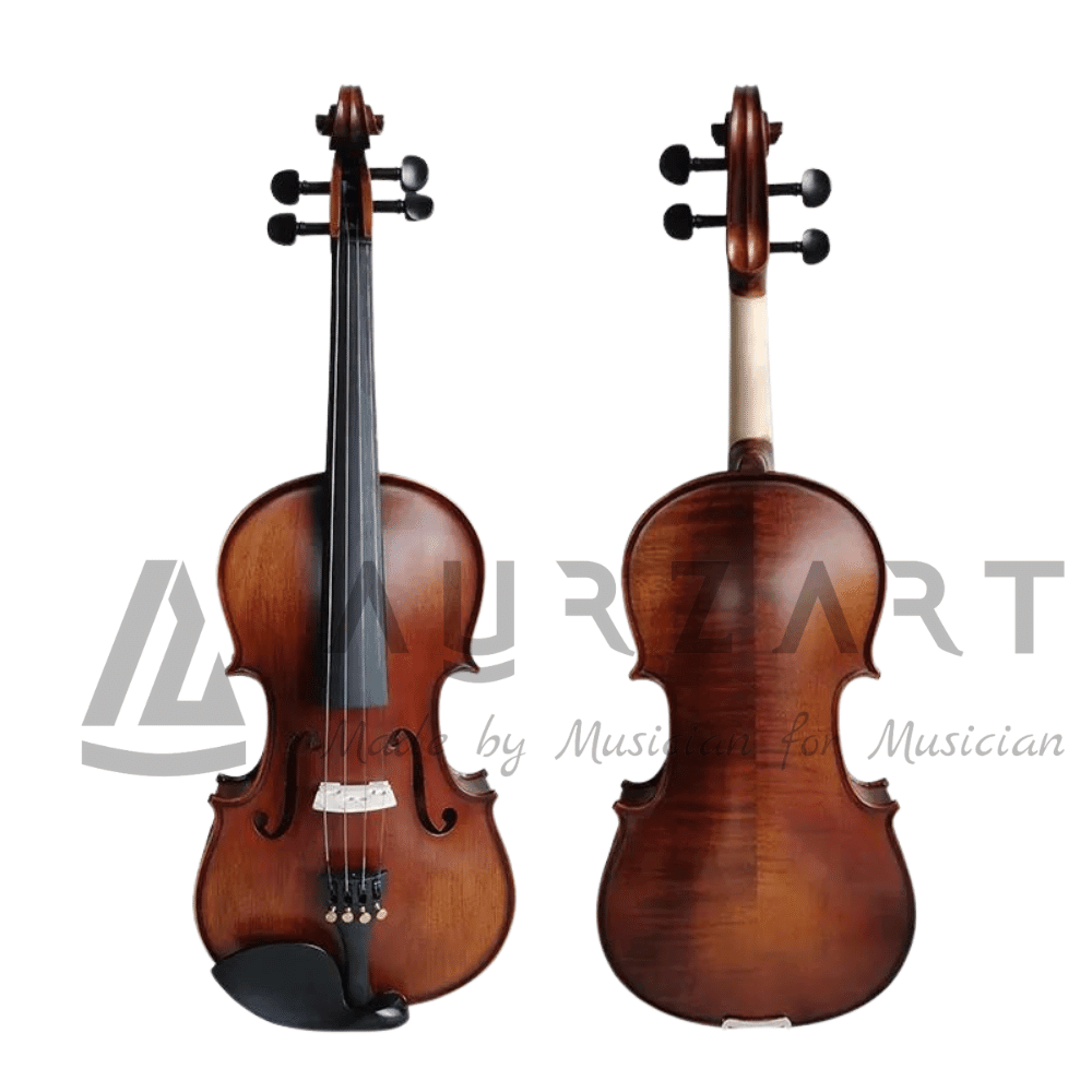 Professional Violin - AURZART