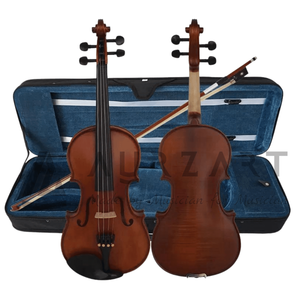 AURZART Professional Full Size 4/4 Violin With Hard Case, Bow & Rosin - AURZART