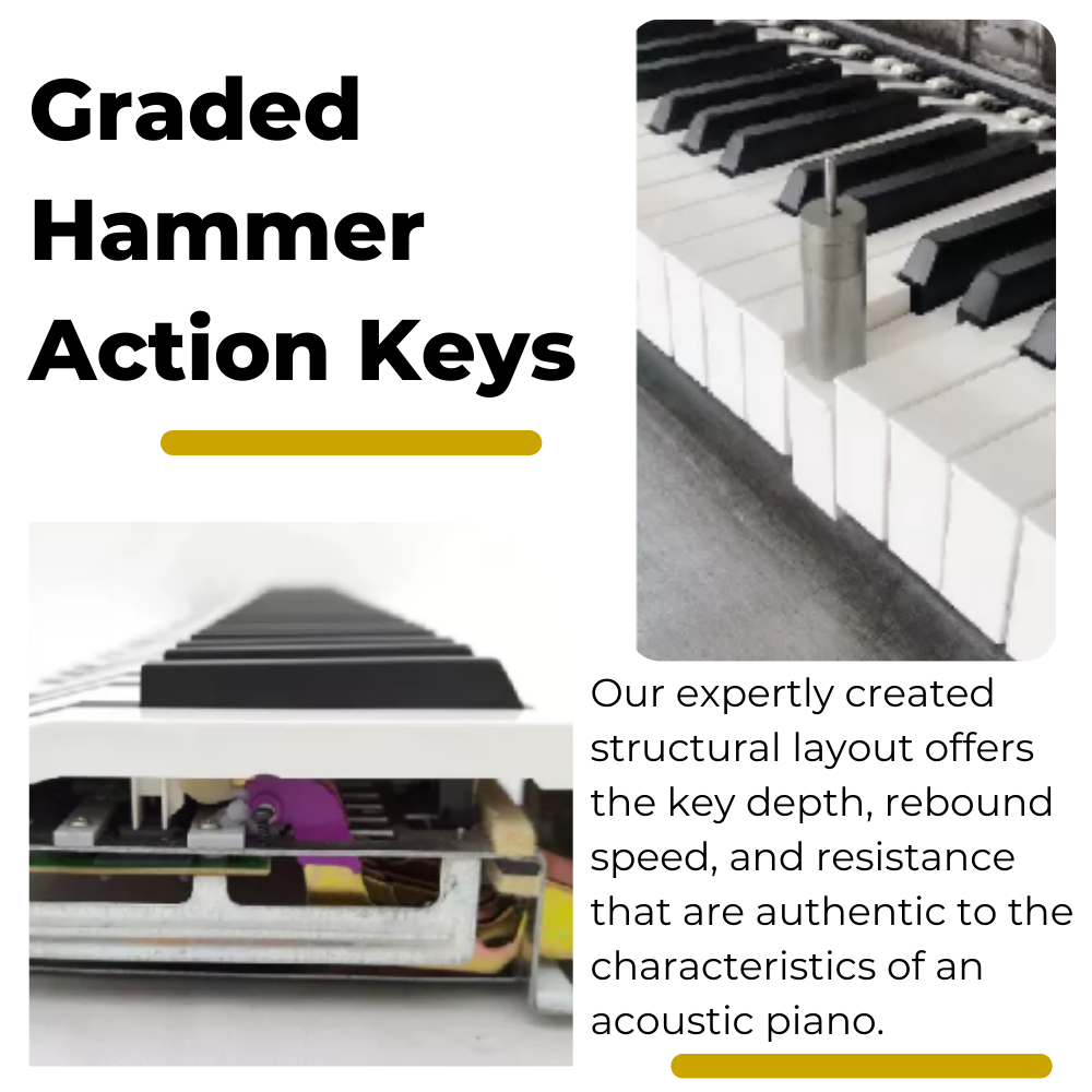 aurzart graded hammer action keys  for beginners