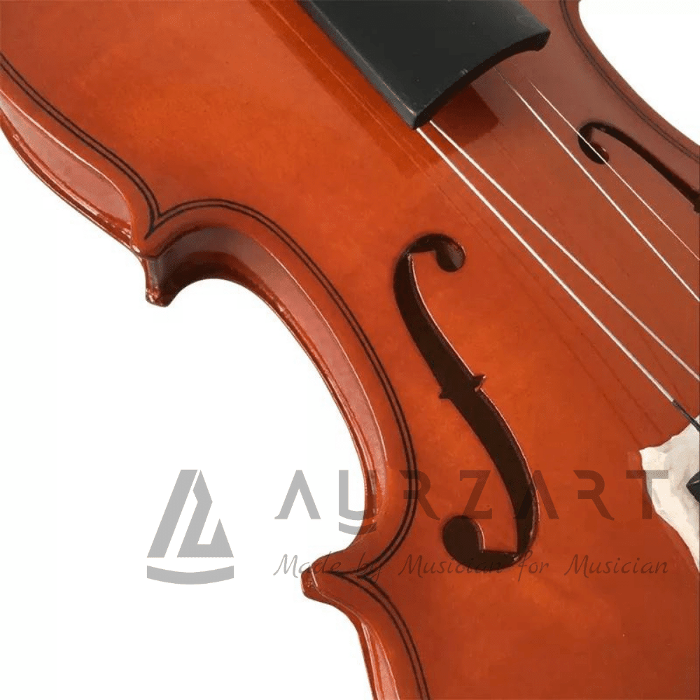beginners violin - AURZART