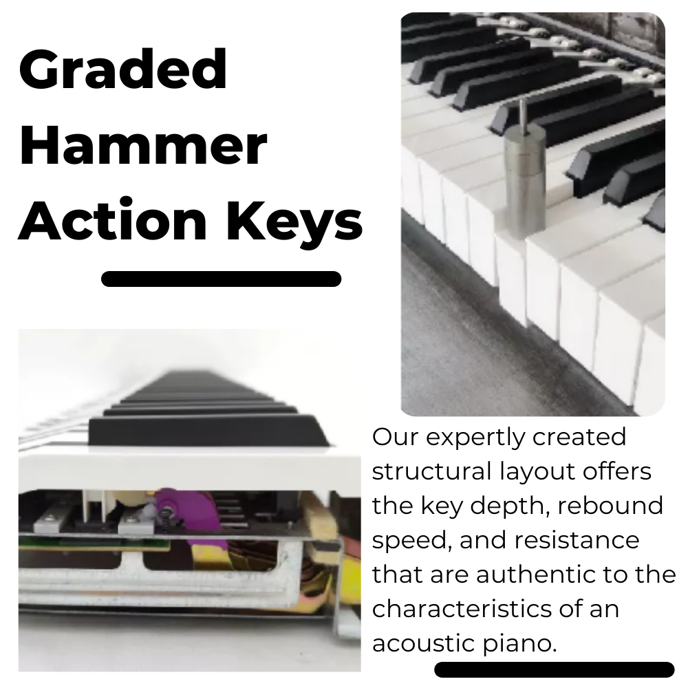 graded hammer action KEYS AURZART